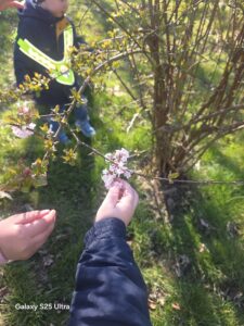 Kind hält rosa Blütenzweig im Freien; ein weiteres Kind im Hintergrund. Sonnige, frühlingshafte Stimmung.