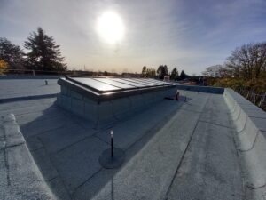 Flachdach mit Oberlicht und Sicherungszäunen, Sonnenlicht von links oben. Im Hintergrund Bäume unter bewölktem Himmel.